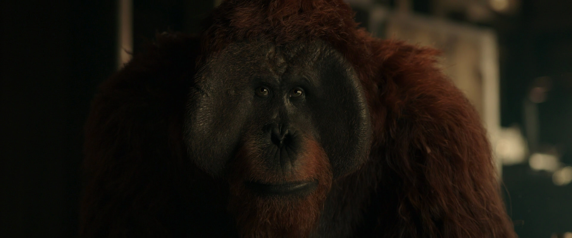 War for the Planet of the Apes (2017) screencap 3564