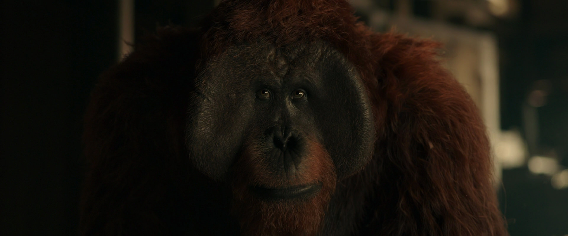War for the Planet of the Apes (2017) movie still 3565