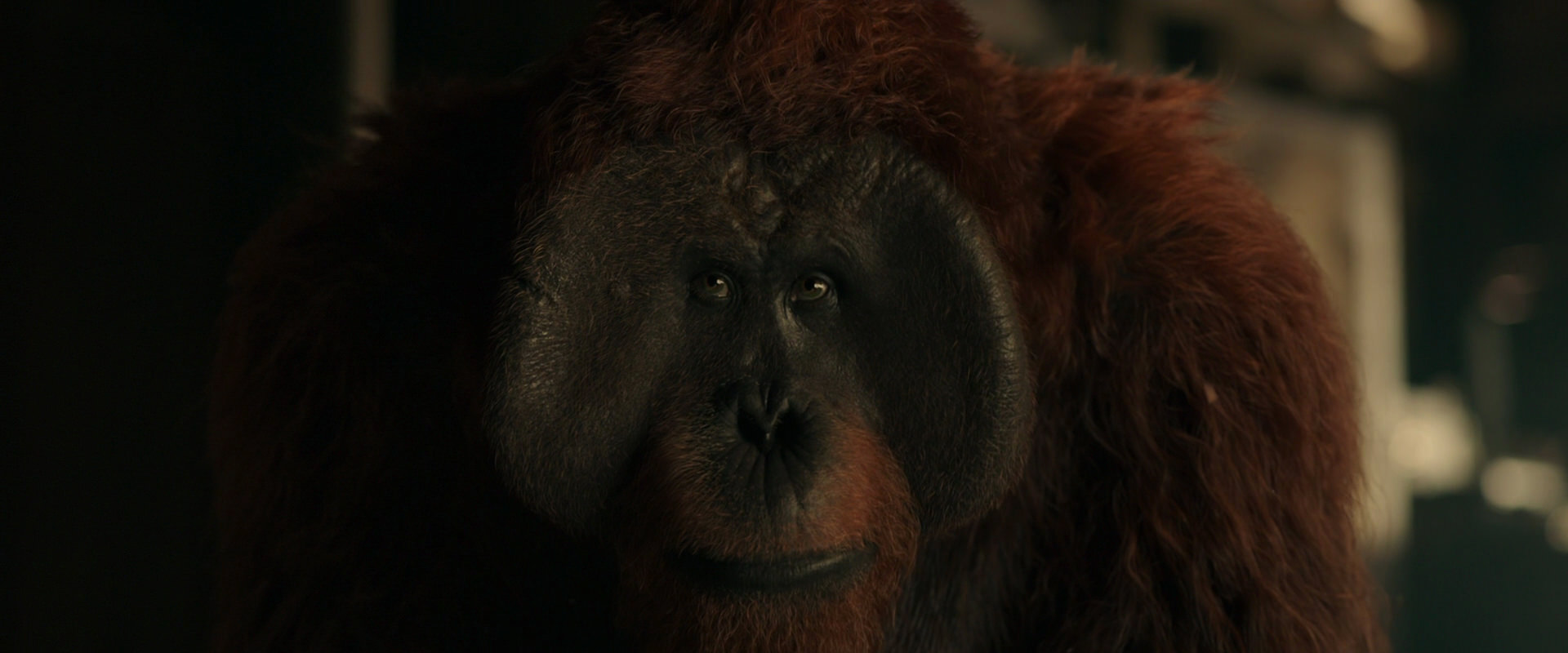 War for the Planet of the Apes (2017) screencap 3567