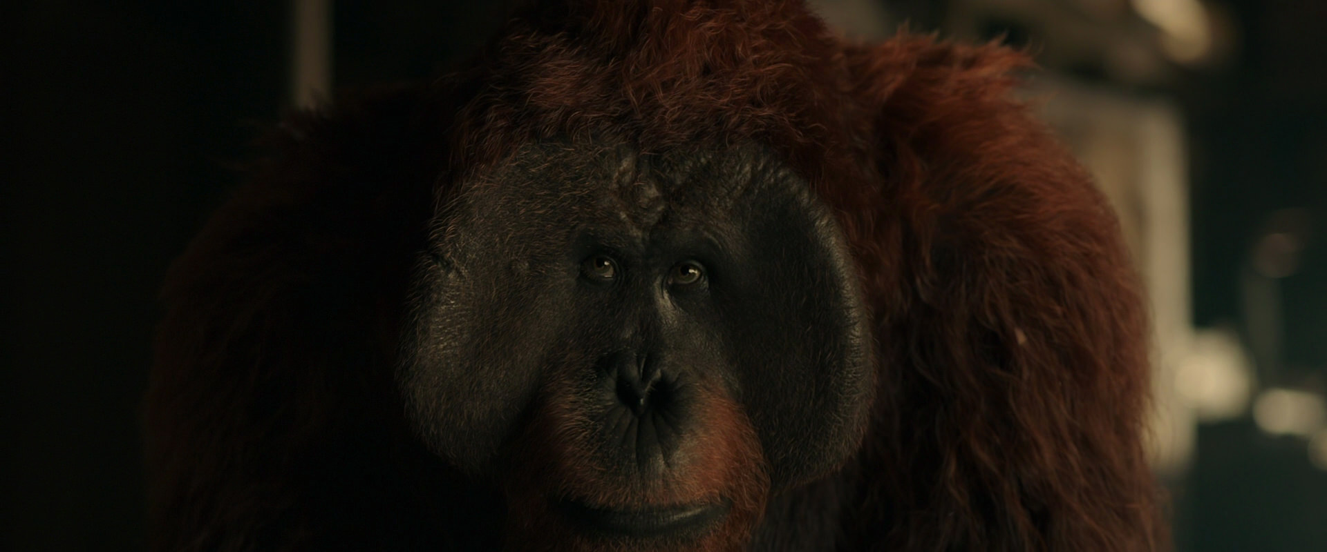War for the Planet of the Apes (2017) movie still 3568