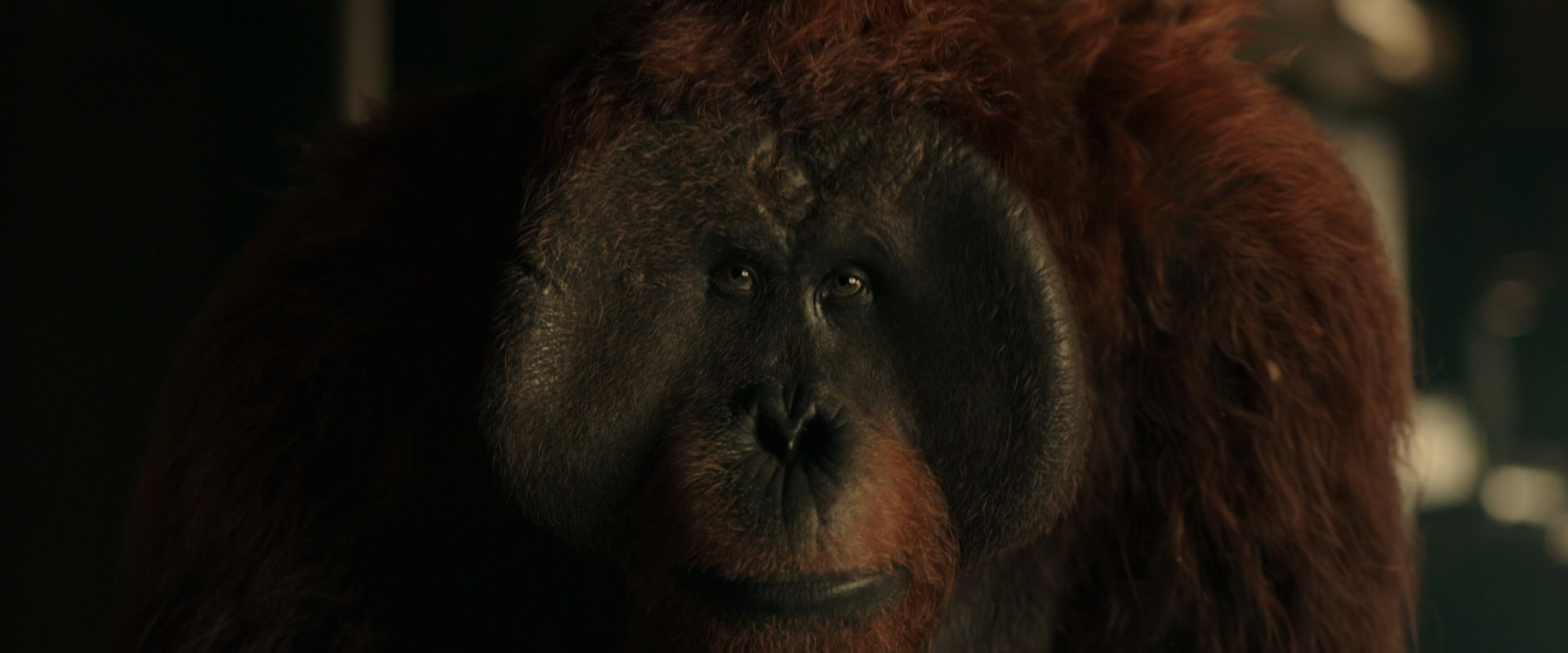 War for the Planet of the Apes (2017) HD screenshot 3569