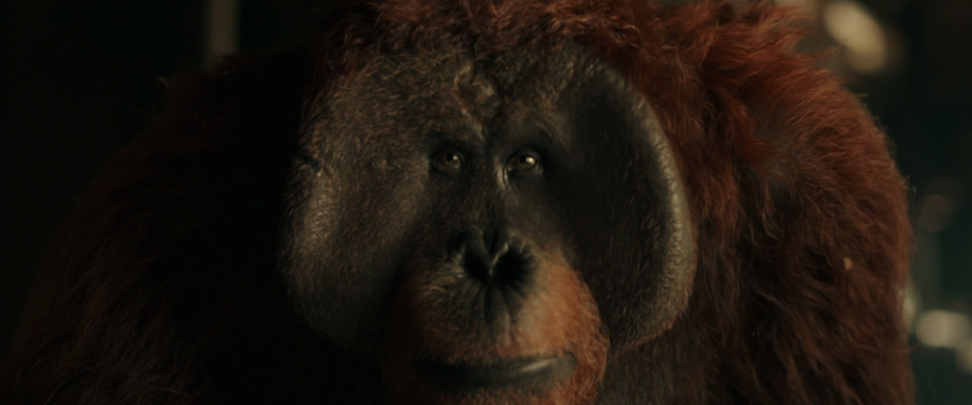 War for the Planet of the Apes (2017) screencap 3570