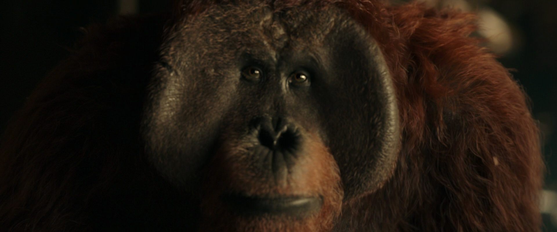 War for the Planet of the Apes (2017) movie still 3571