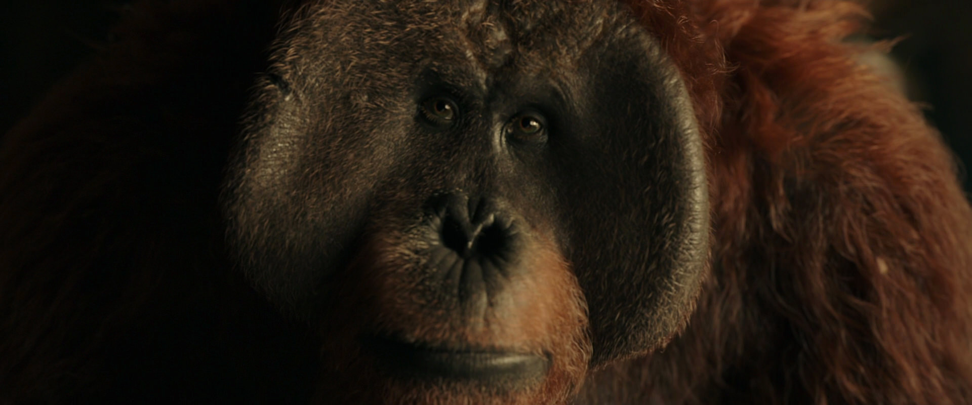 War for the Planet of the Apes (2017) HD screenshot 3572