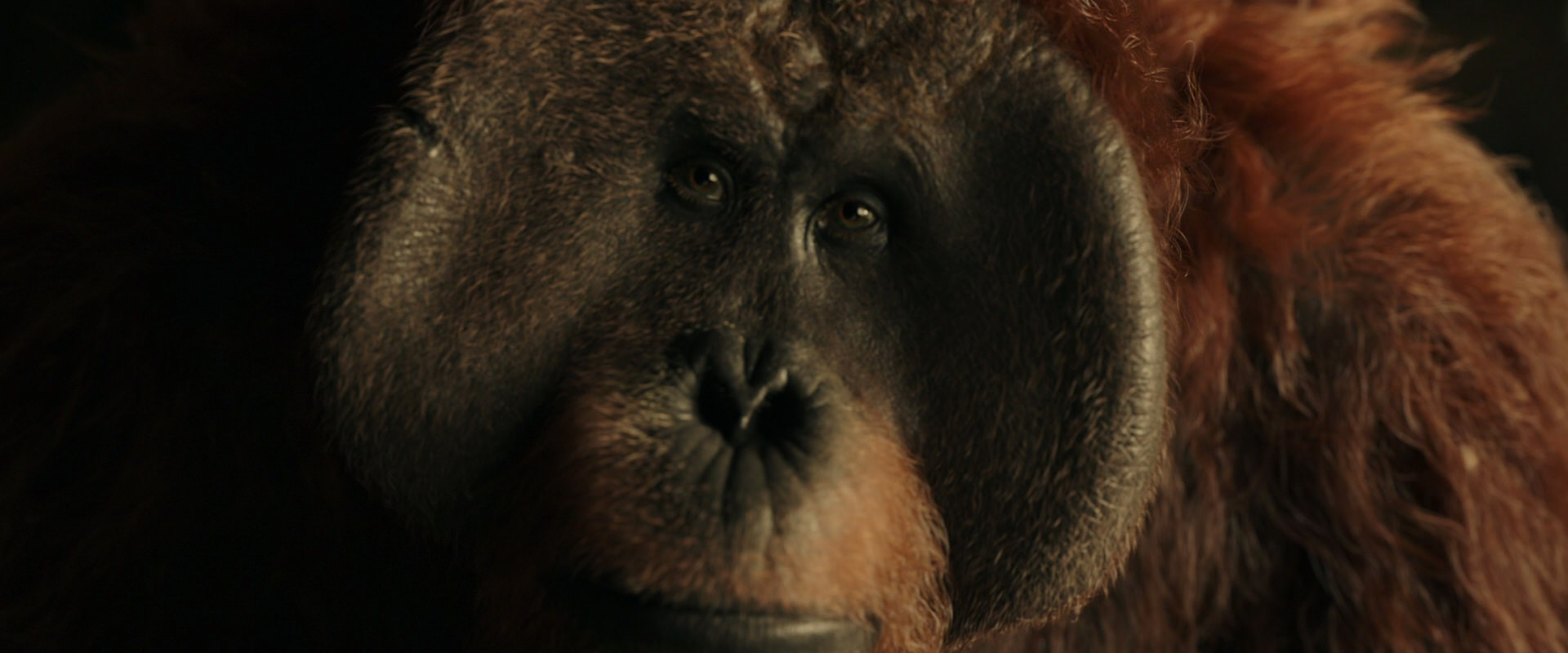 War for the Planet of the Apes (2017) screencap 3573