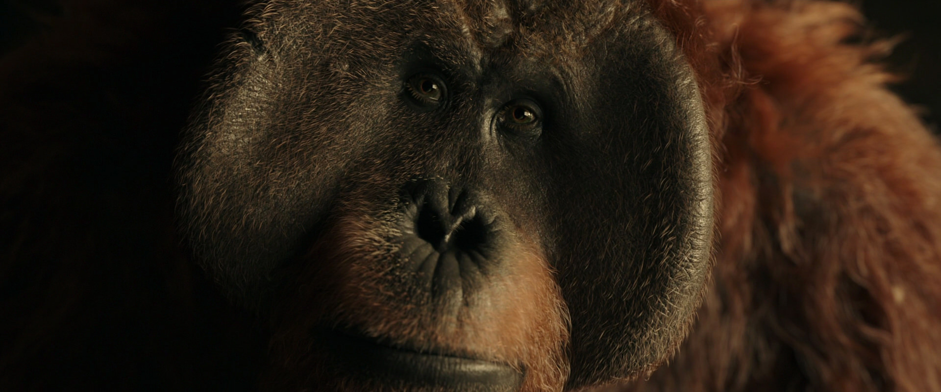 War for the Planet of the Apes (2017) movie still 3574