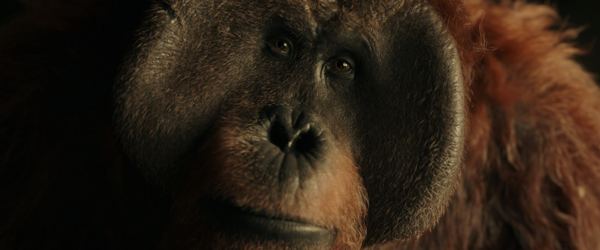 War for the Planet of the Apes (2017) HD screenshot 3575