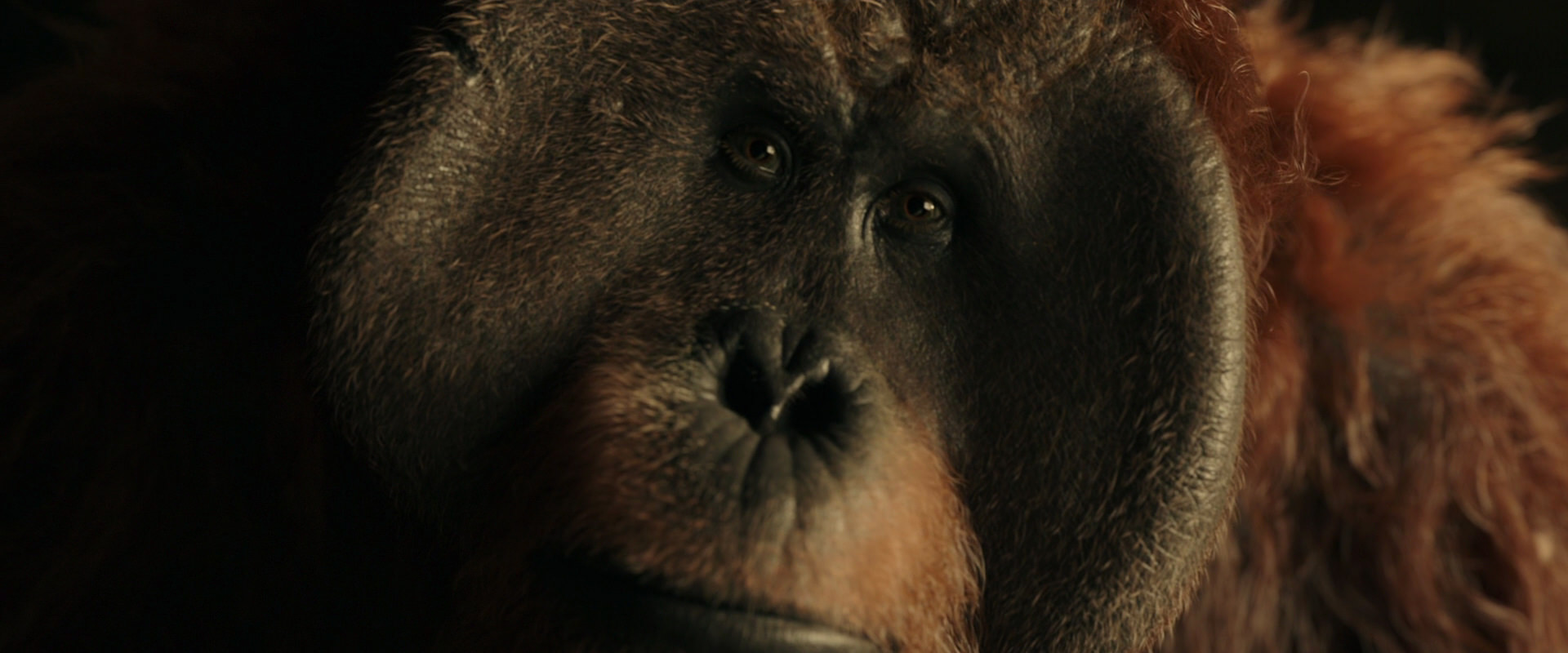 War for the Planet of the Apes (2017) screencap 3576