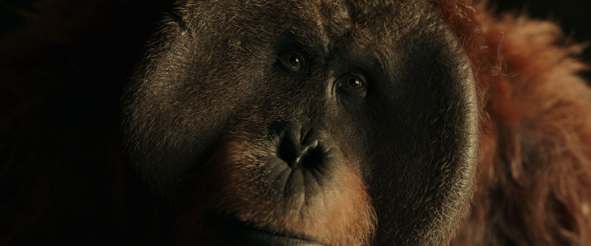 War for the Planet of the Apes (2017) movie still 3577