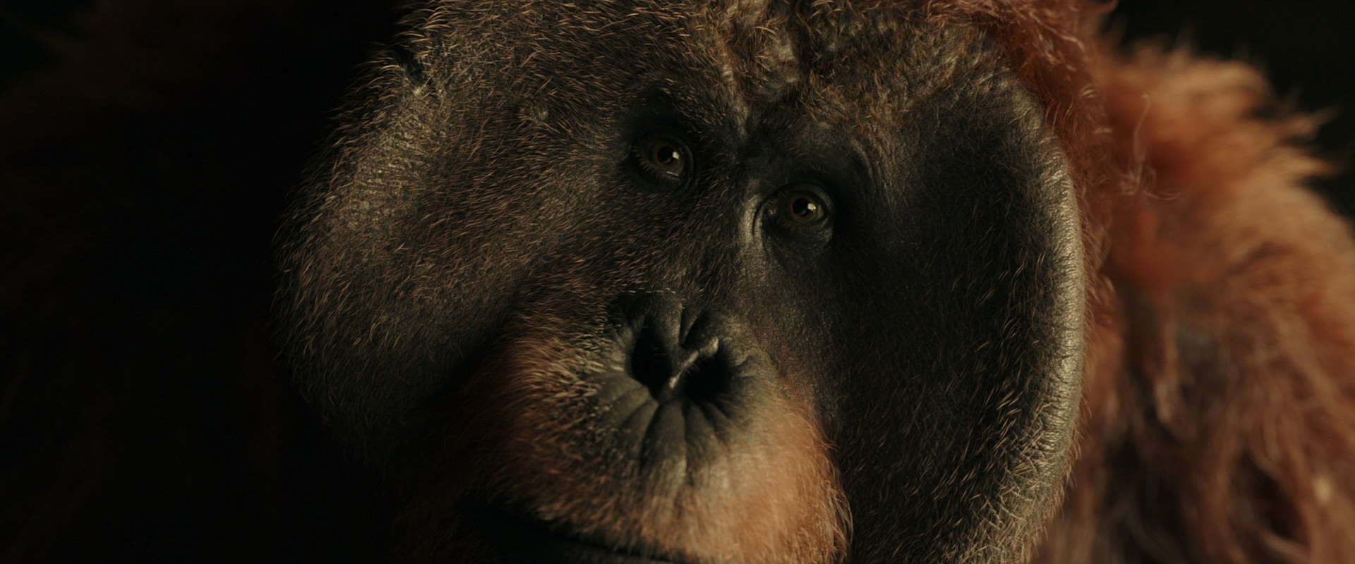 War for the Planet of the Apes (2017) HD screenshot 3578