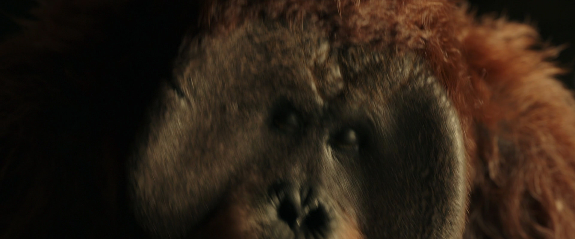 War for the Planet of the Apes (2017) screencap 3579