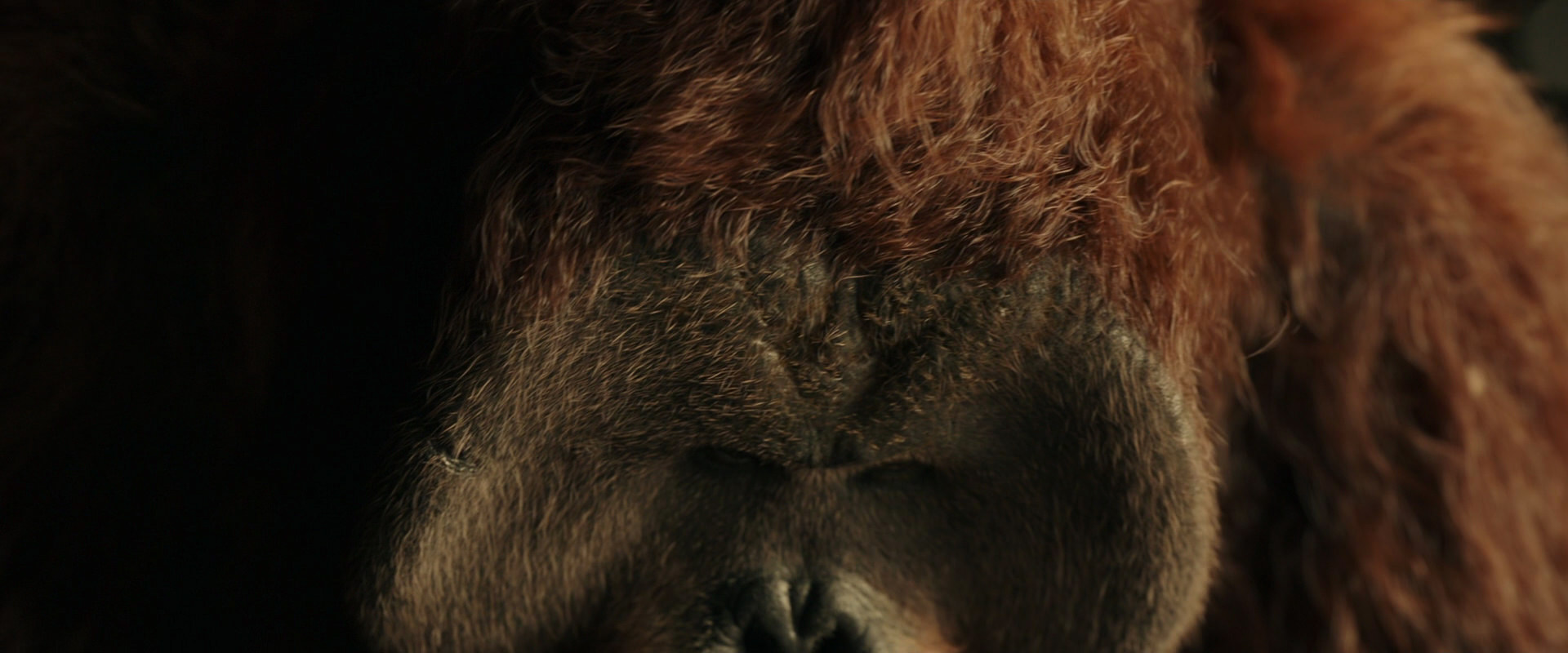 War for the Planet of the Apes (2017) movie still 3580