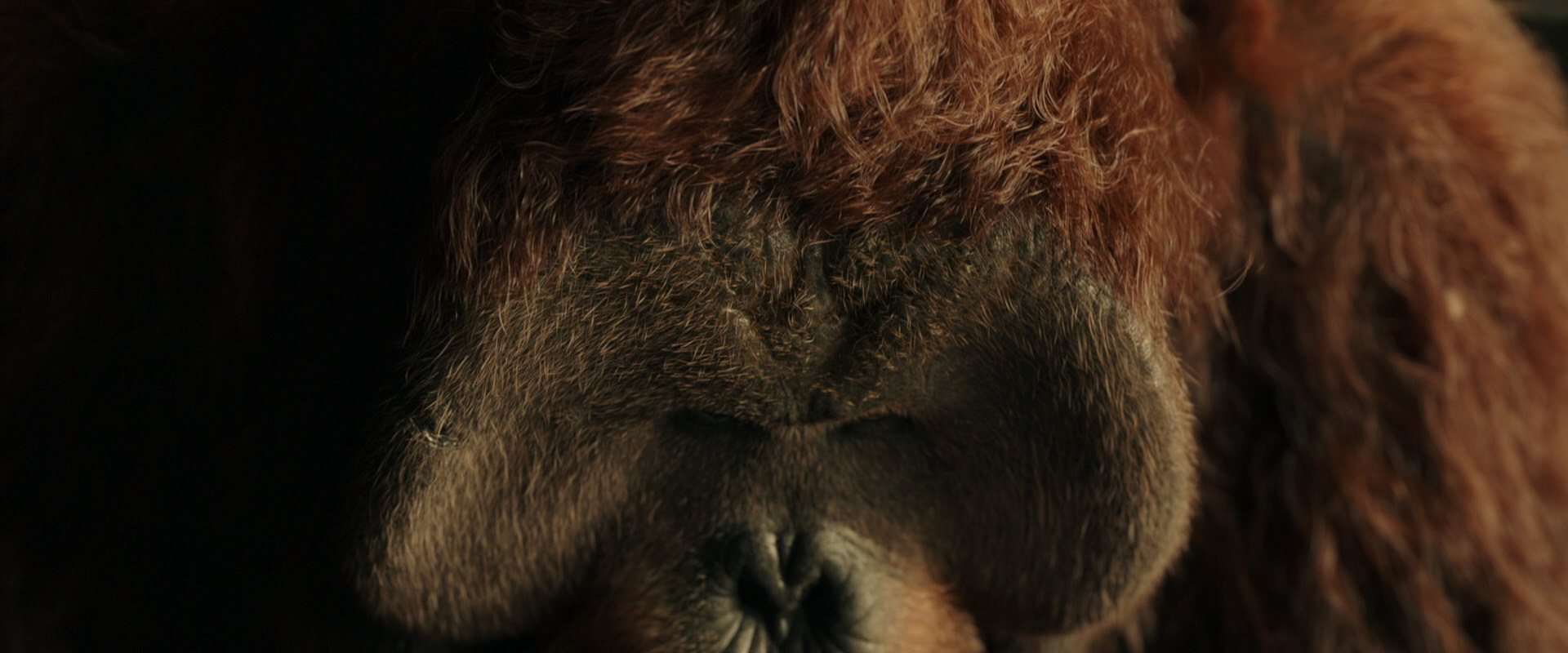 War for the Planet of the Apes (2017) HD screenshot 3581