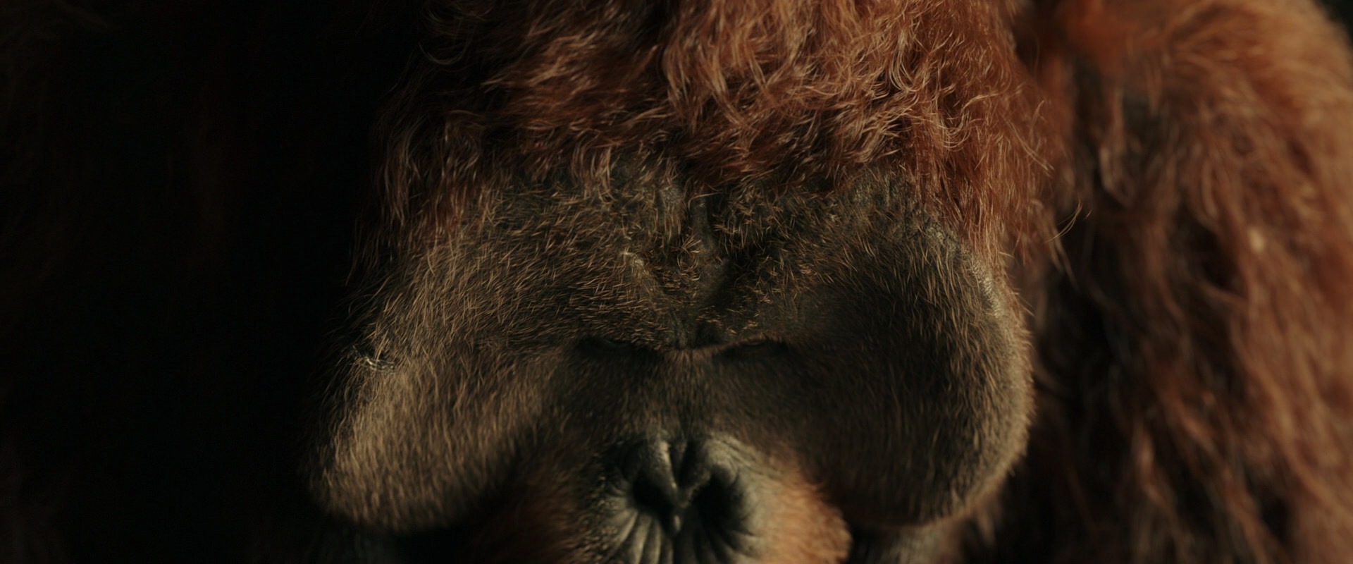 War for the Planet of the Apes (2017) screencap 3582