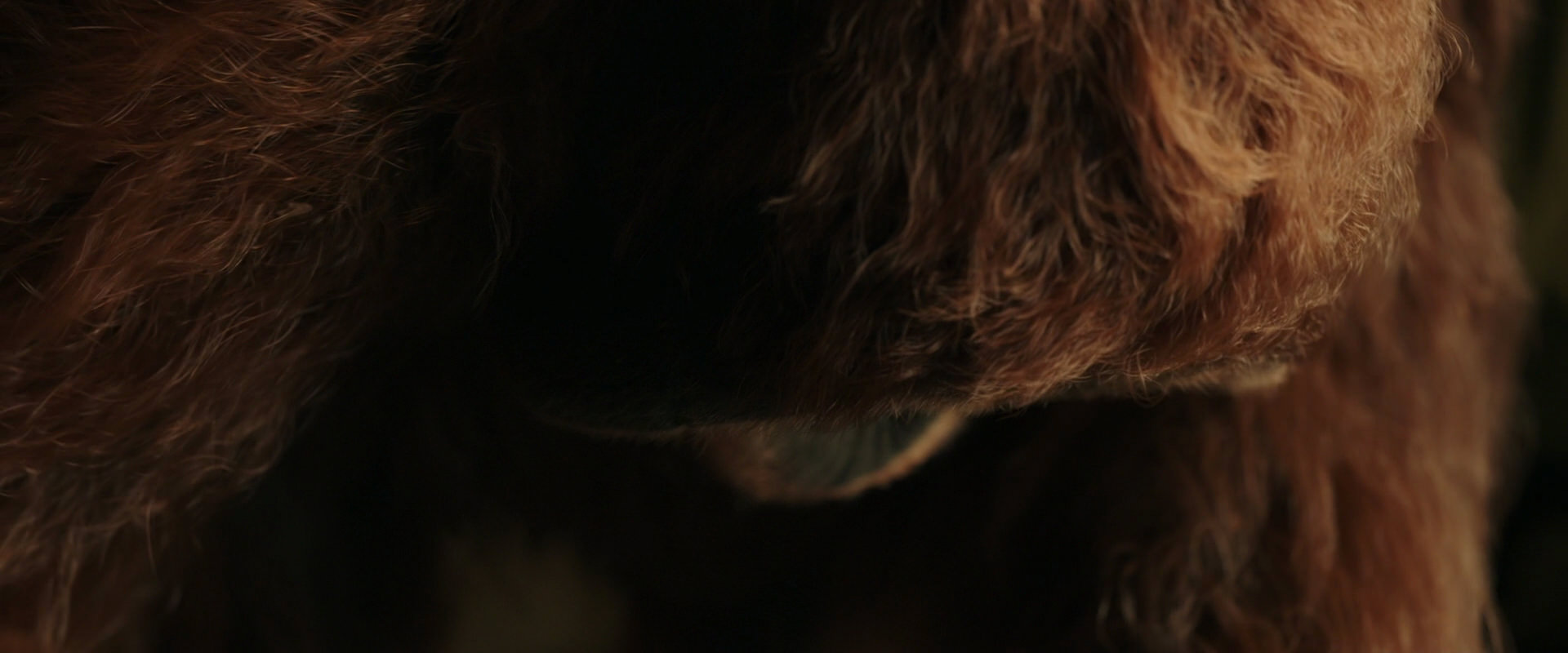 War for the Planet of the Apes (2017) movie still 3589