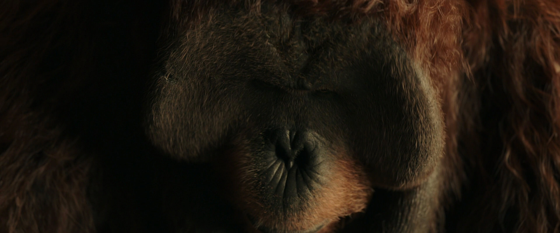 War for the Planet of the Apes (2017) HD screenshot 3596