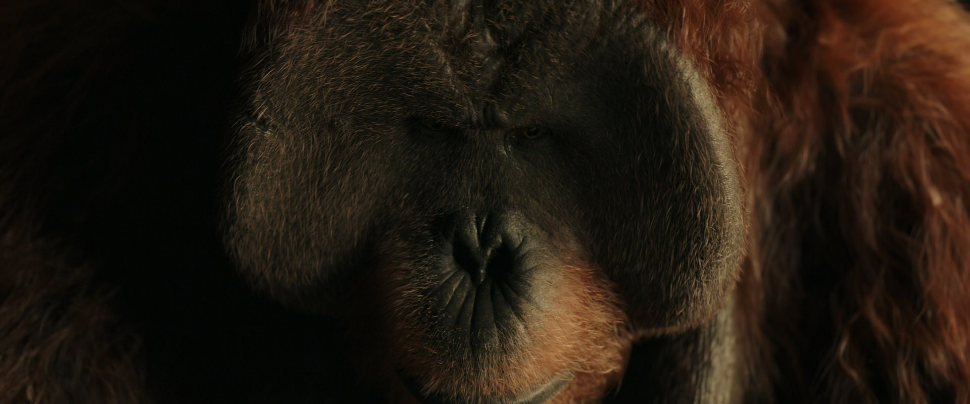 War for the Planet of the Apes (2017) screencap 3597