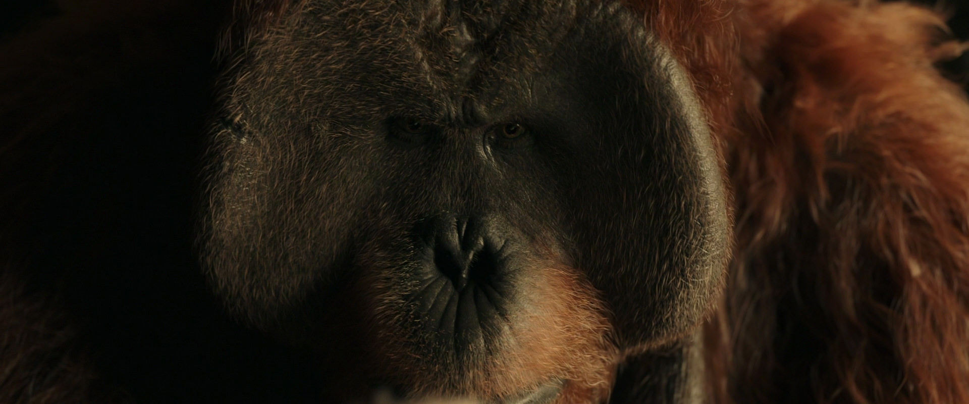 War for the Planet of the Apes (2017) movie still 3598