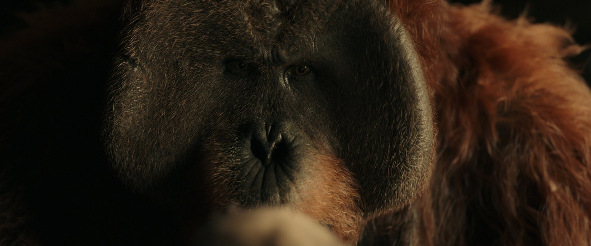 War for the Planet of the Apes (2017) HD screenshot 3599