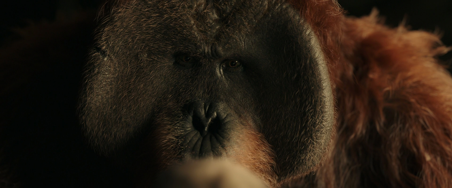 War for the Planet of the Apes (2017) screencap 3600