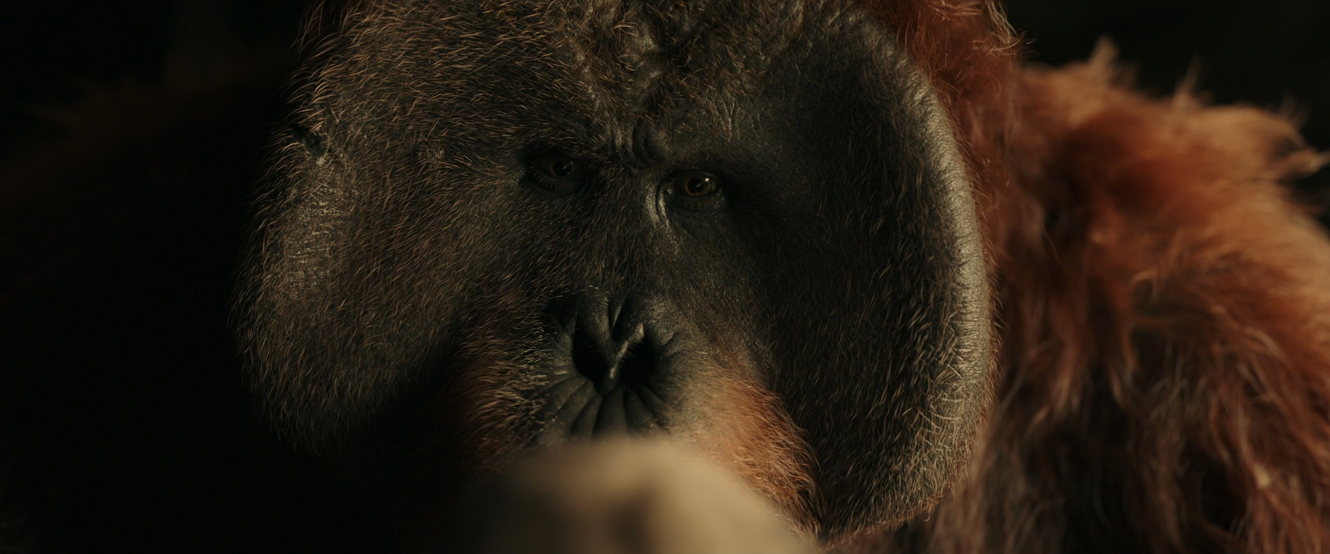 War for the Planet of the Apes (2017) movie still 3601