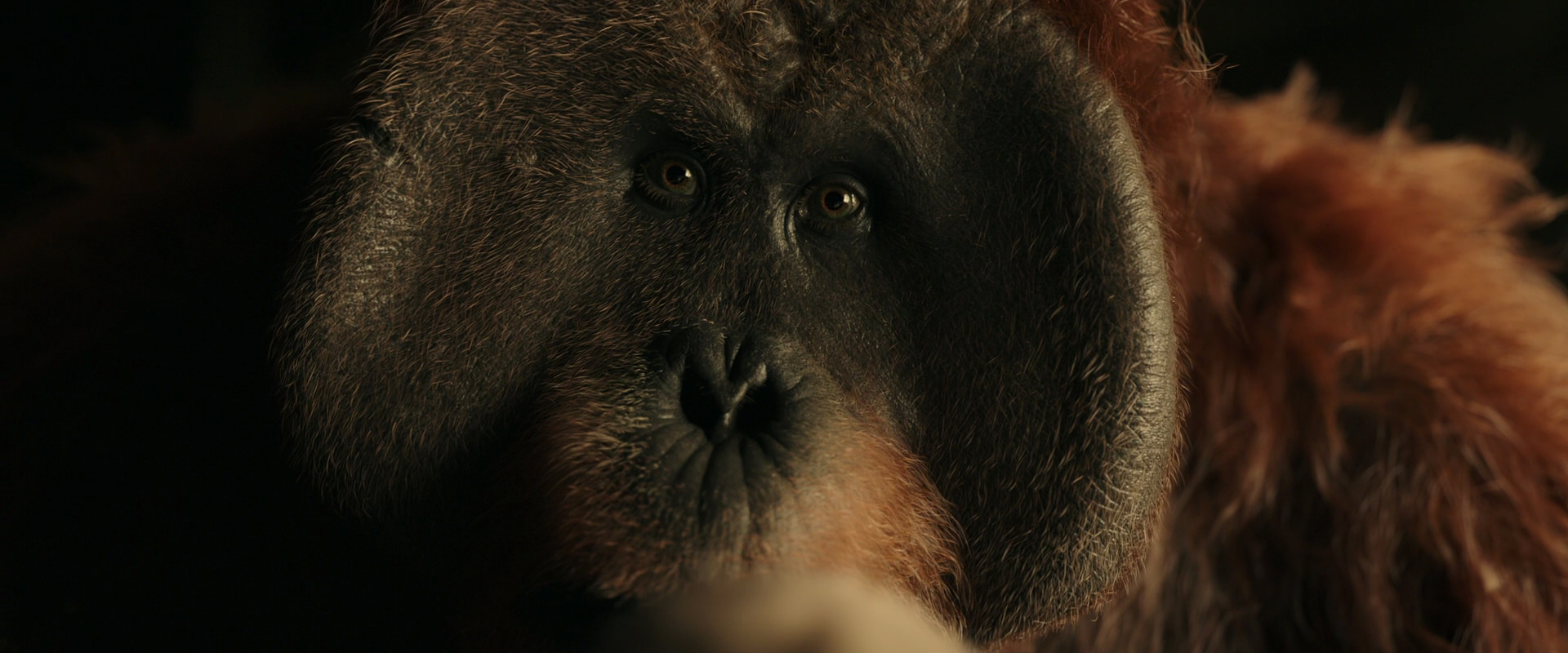 War for the Planet of the Apes (2017) HD screenshot 3602