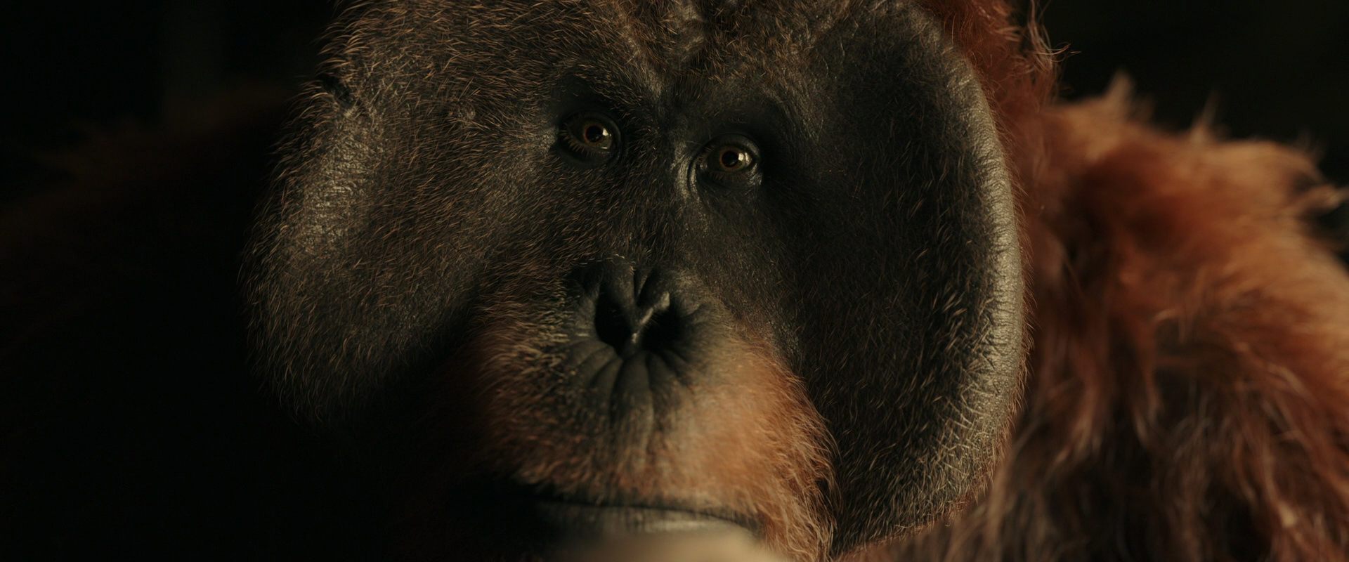 War for the Planet of the Apes (2017) screencap 3603