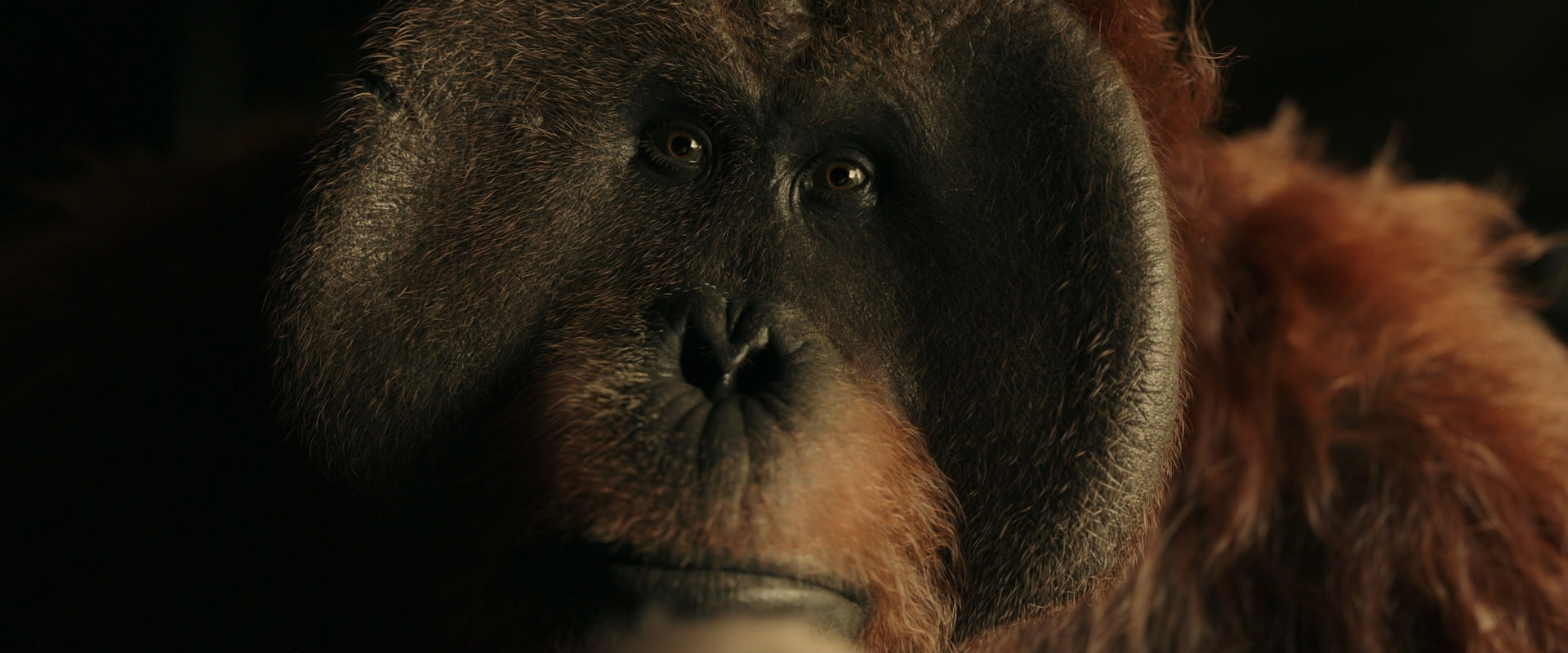 War for the Planet of the Apes (2017) movie still 3604