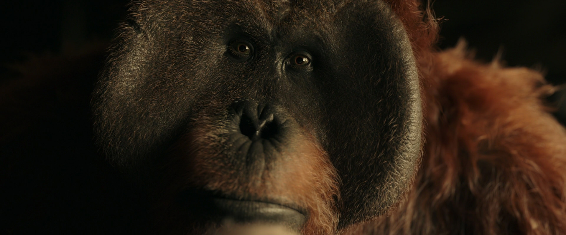 War for the Planet of the Apes (2017) HD screenshot 3605