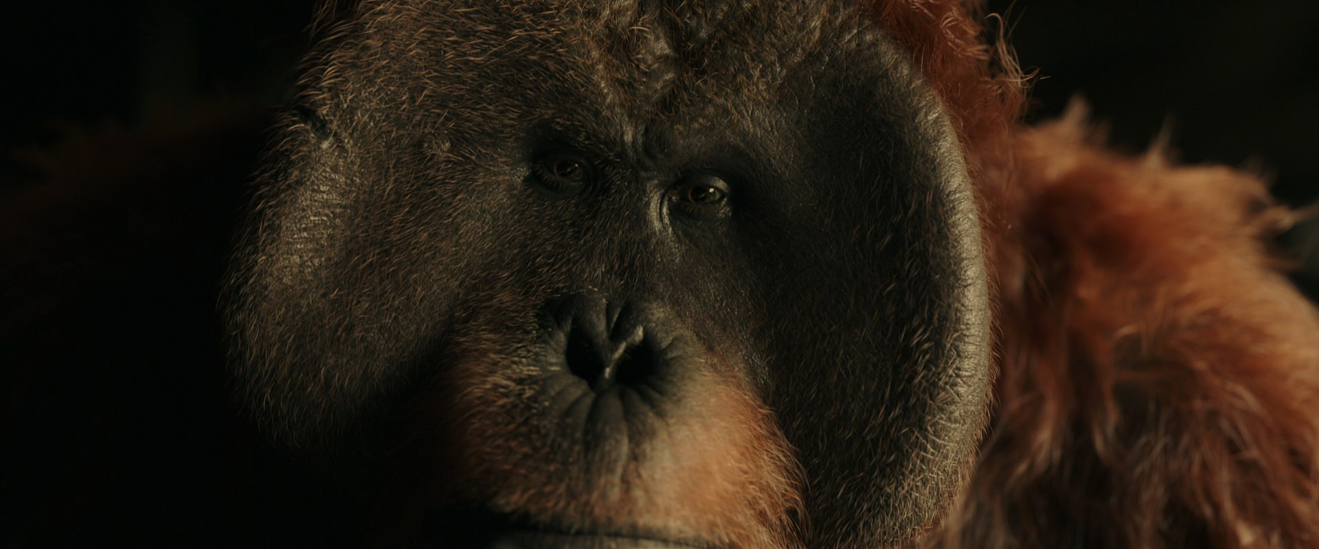 War for the Planet of the Apes (2017) screencap 3606