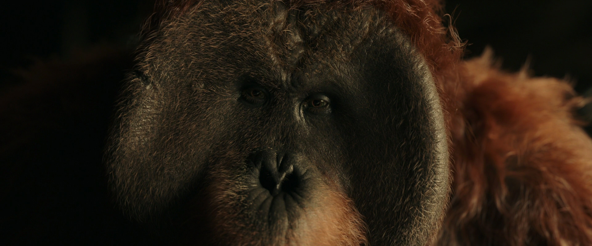 War for the Planet of the Apes (2017) movie still 3607
