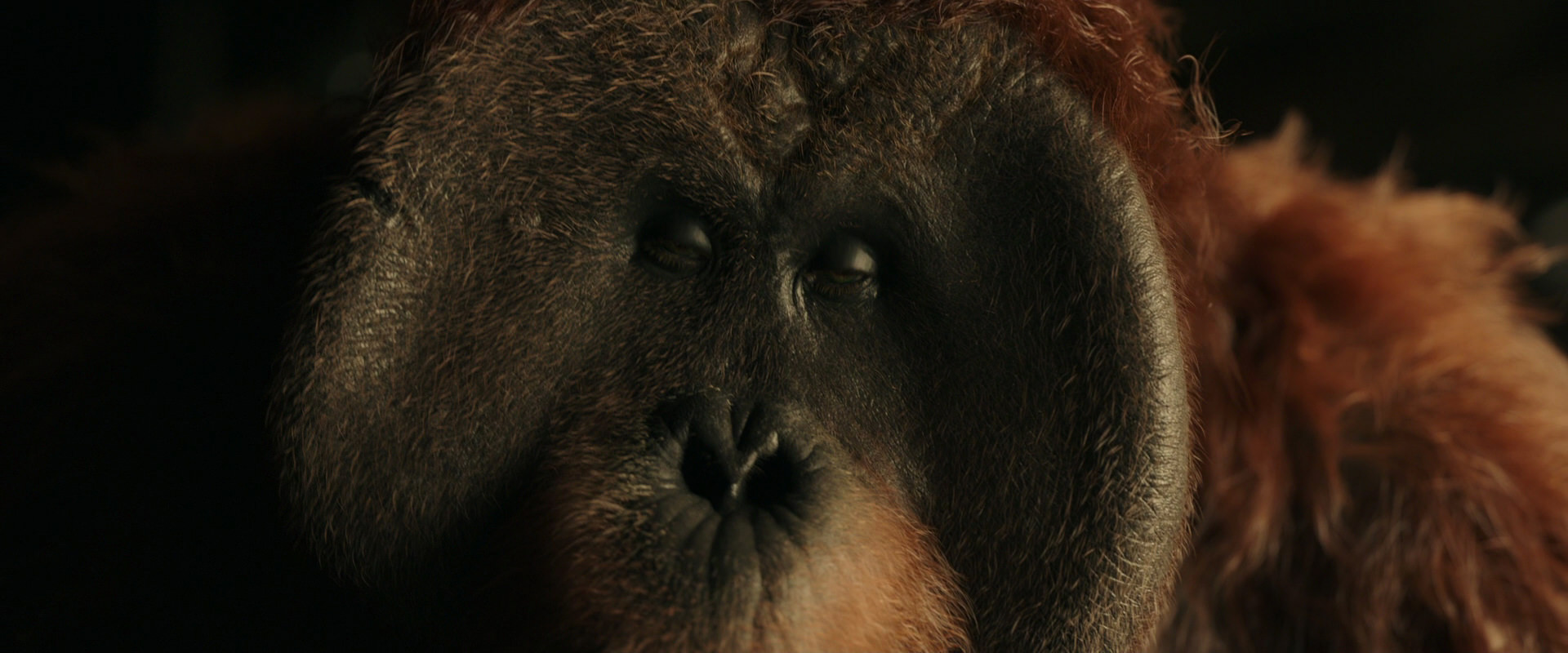 War for the Planet of the Apes (2017) HD screenshot 3608