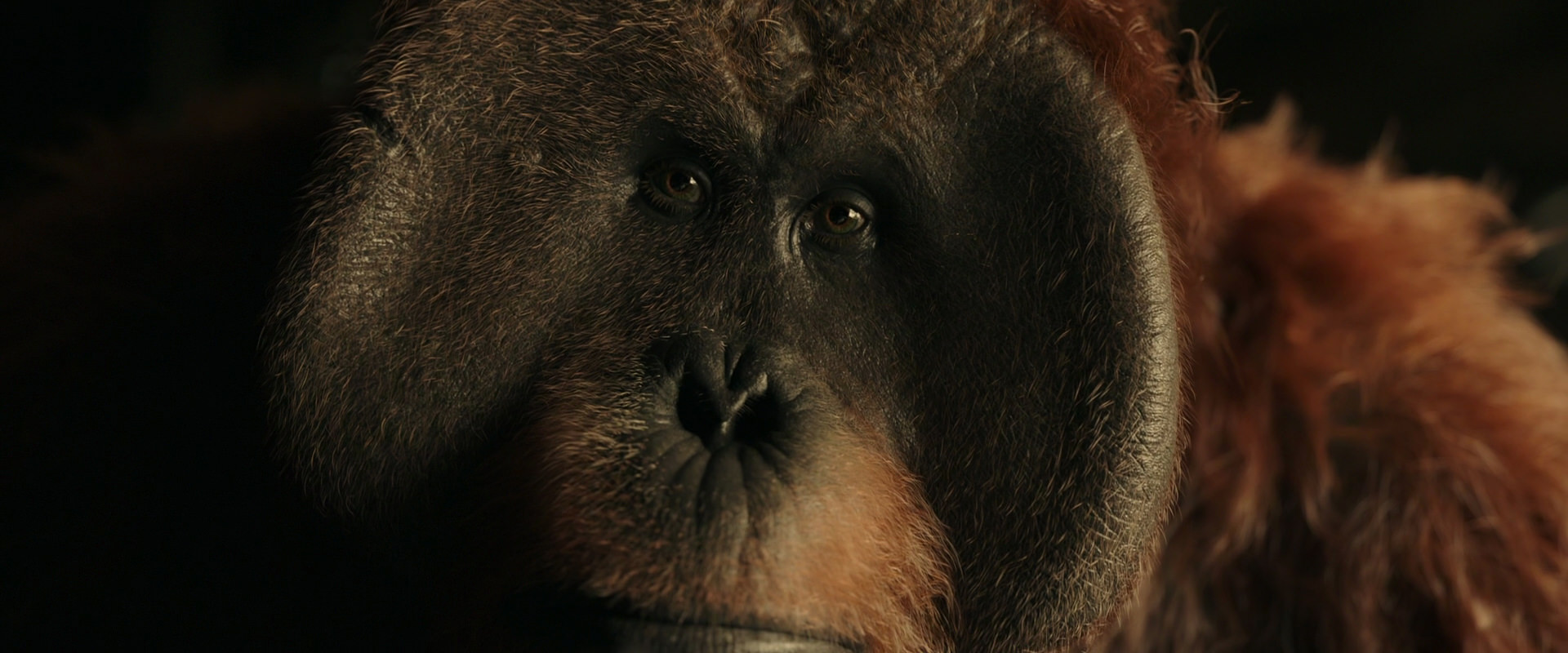 War for the Planet of the Apes (2017) screencap 3609