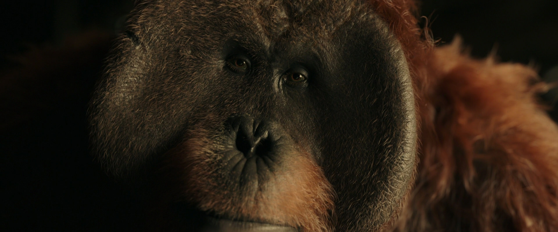War for the Planet of the Apes (2017) movie still 3610