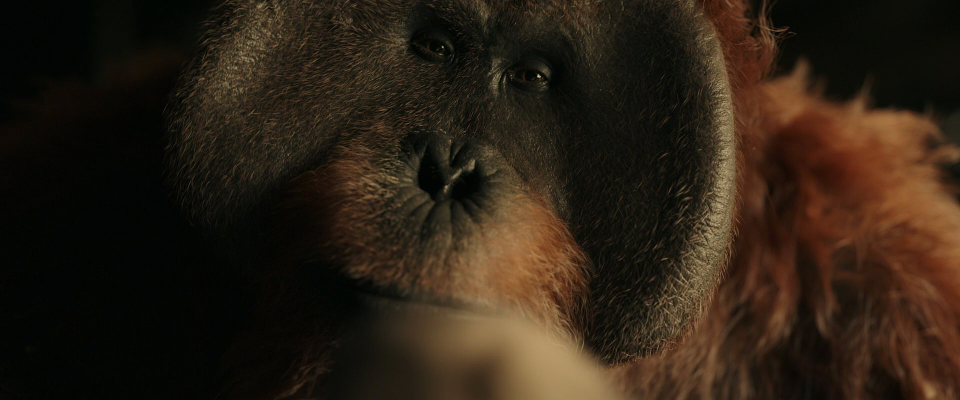 War for the Planet of the Apes (2017) HD screenshot 3611
