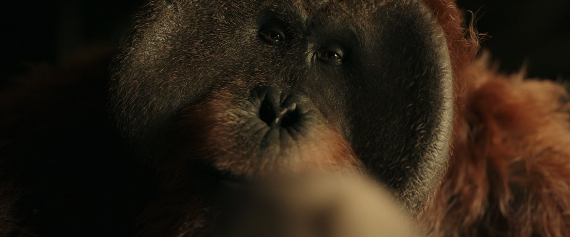 War for the Planet of the Apes (2017) screencap 3612