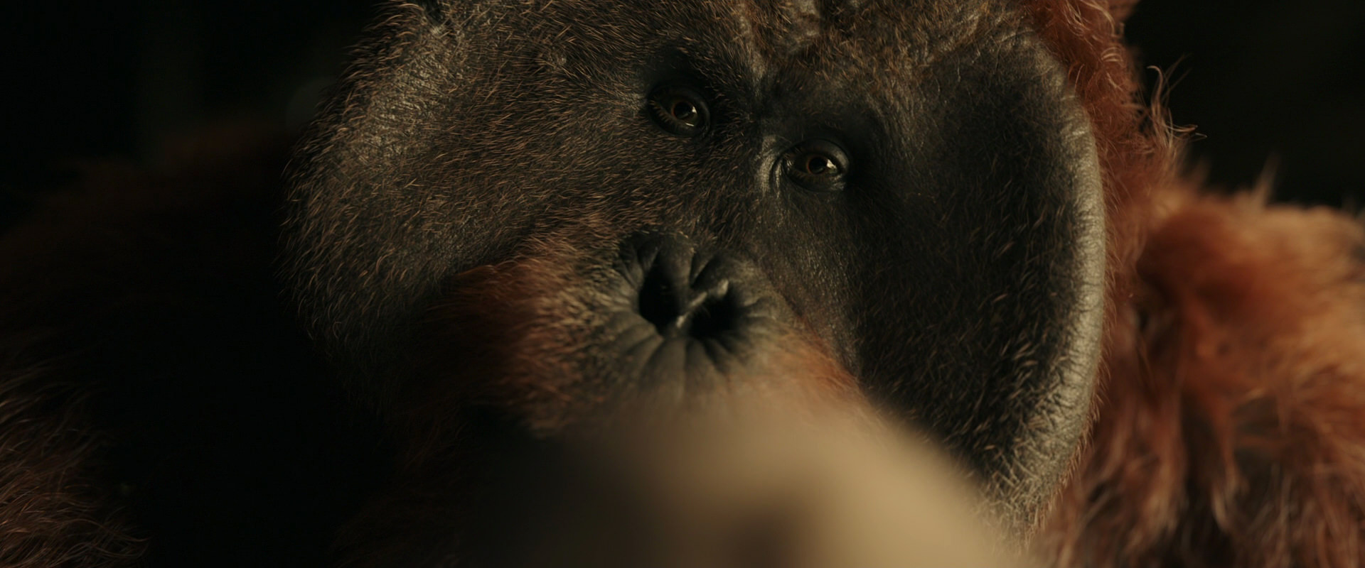 War for the Planet of the Apes (2017) movie still 3613