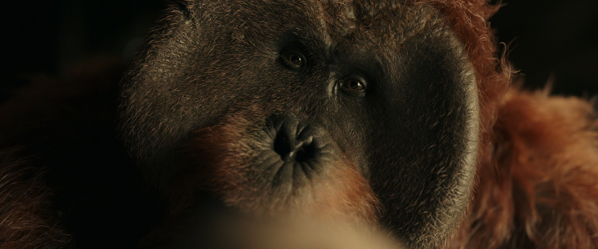 War for the Planet of the Apes (2017) HD screenshot 3614