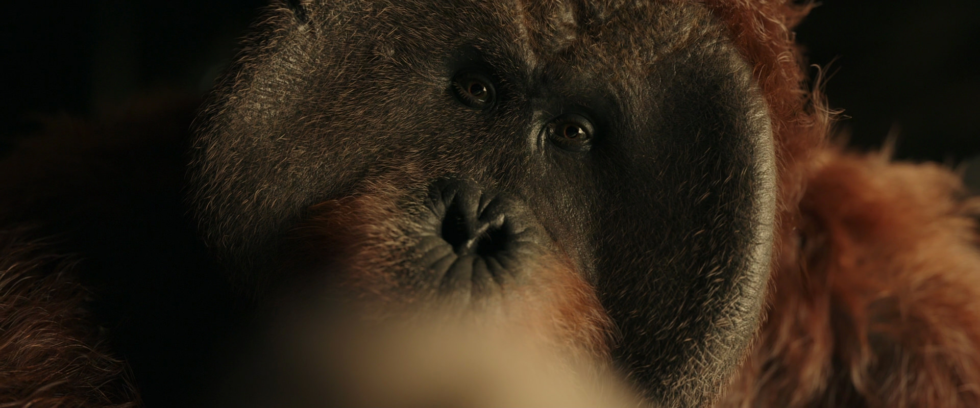 War for the Planet of the Apes (2017) HD screenshot 3641