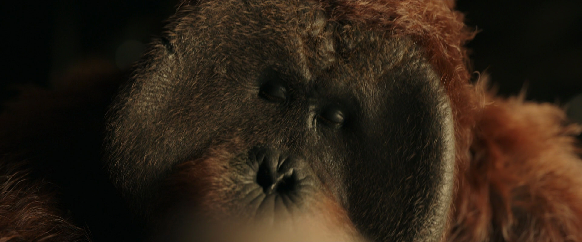 War for the Planet of the Apes (2017) screencap 3642