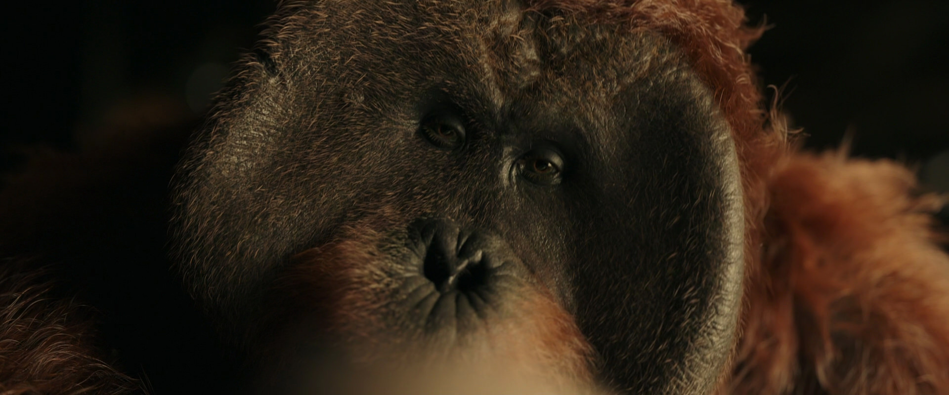 War for the Planet of the Apes (2017) movie still 3643