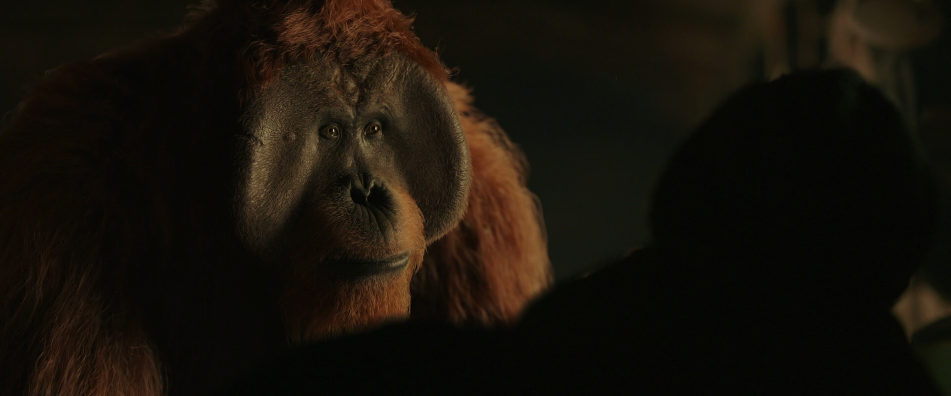 War for the Planet of the Apes (2017) screencap 3657