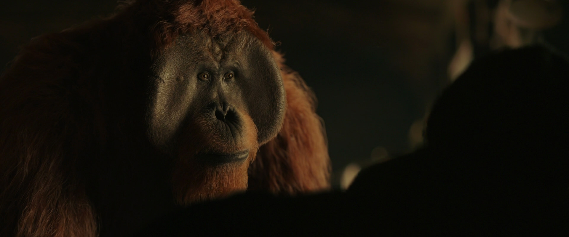 War for the Planet of the Apes (2017) movie still 3658