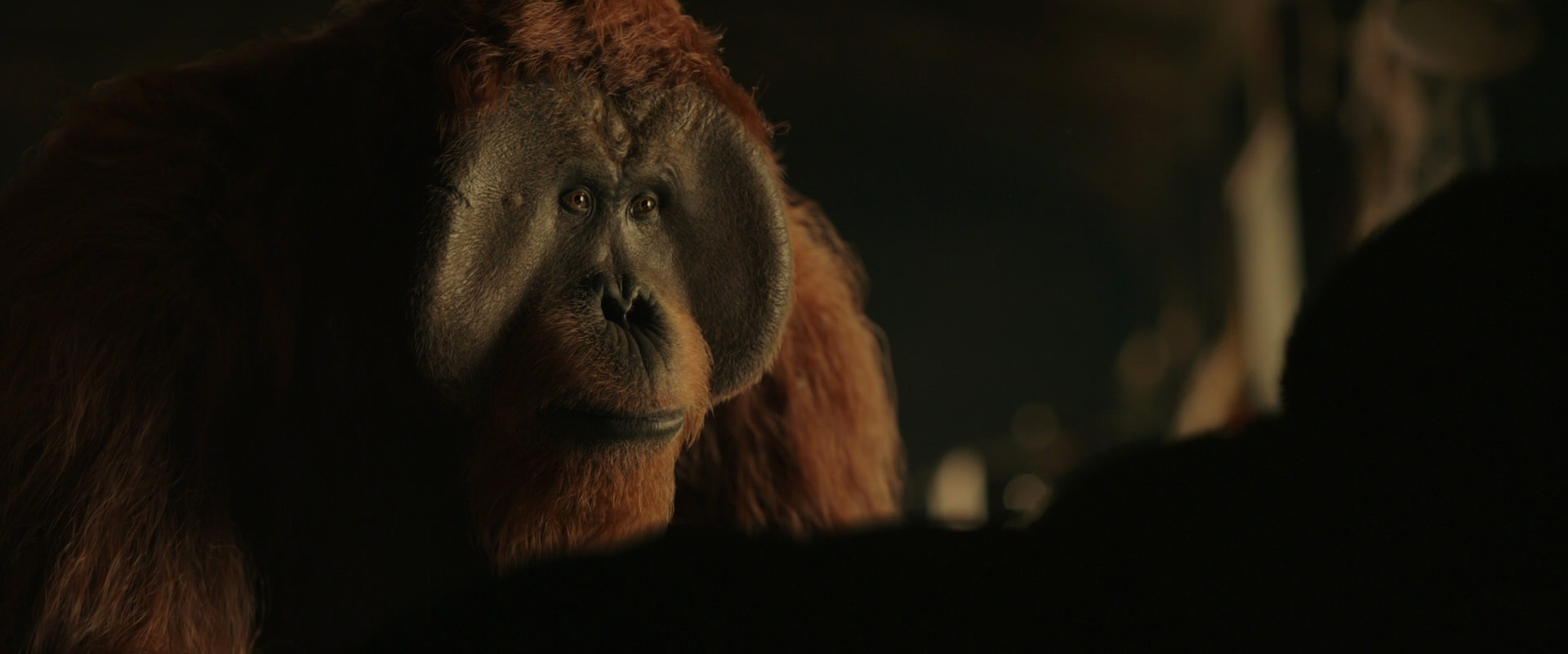 War for the Planet of the Apes (2017) HD screenshot 3659
