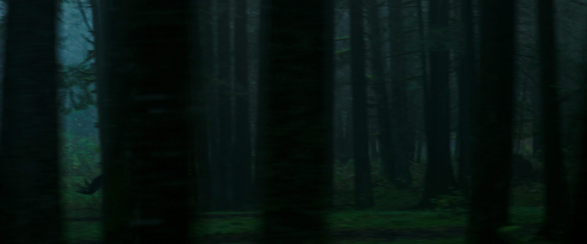 War for the Planet of the Apes (2017) screencap 366