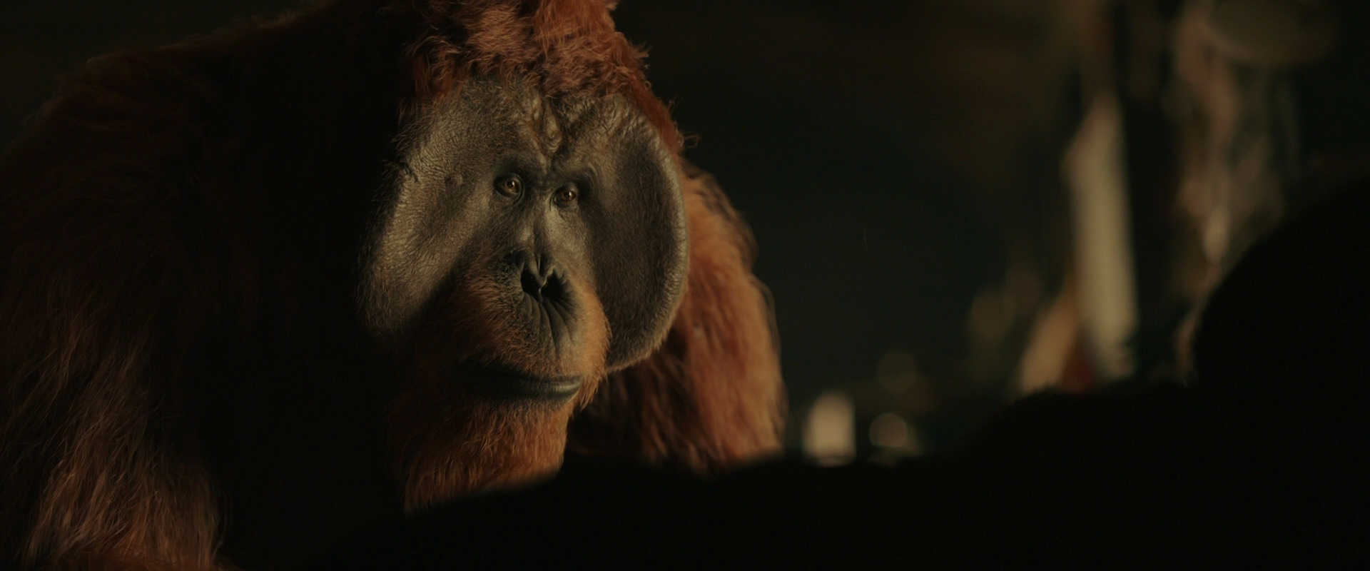 War for the Planet of the Apes (2017) screencap 3660