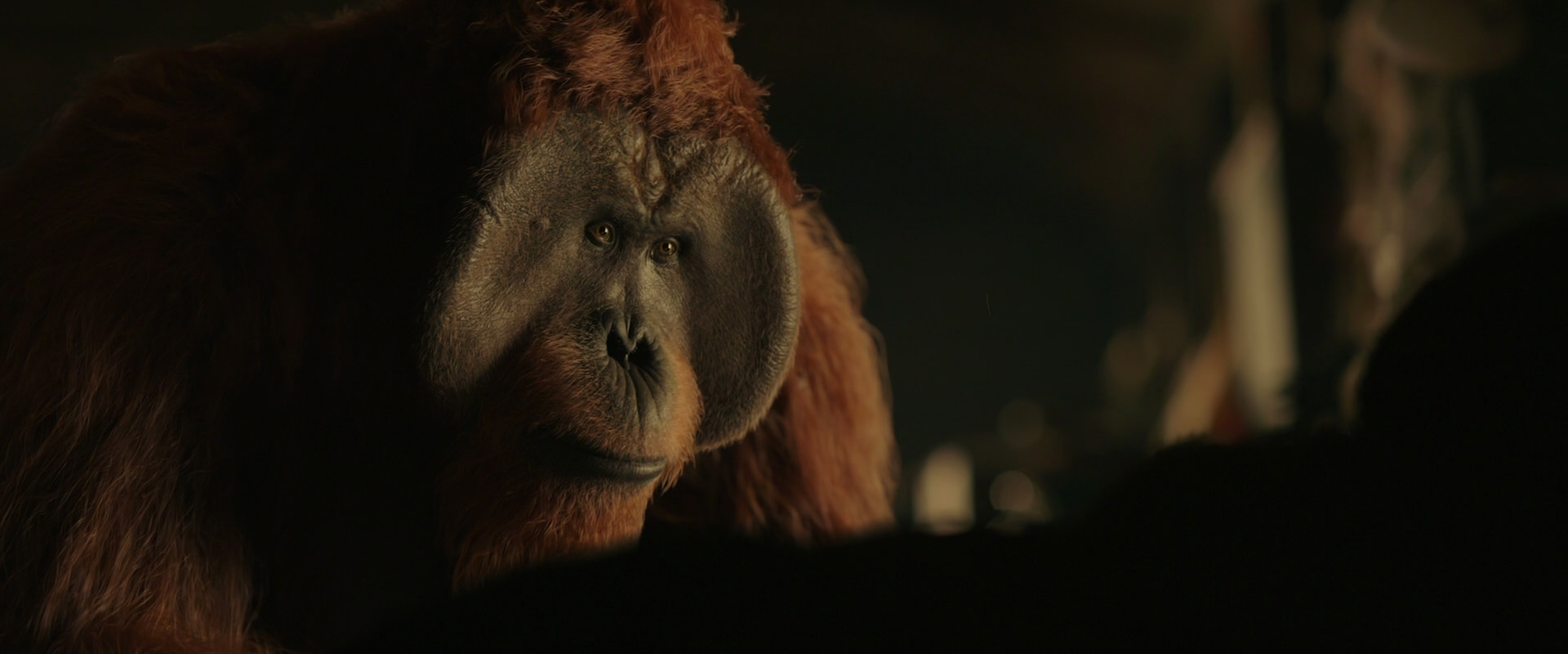 War for the Planet of the Apes (2017) movie still 3661