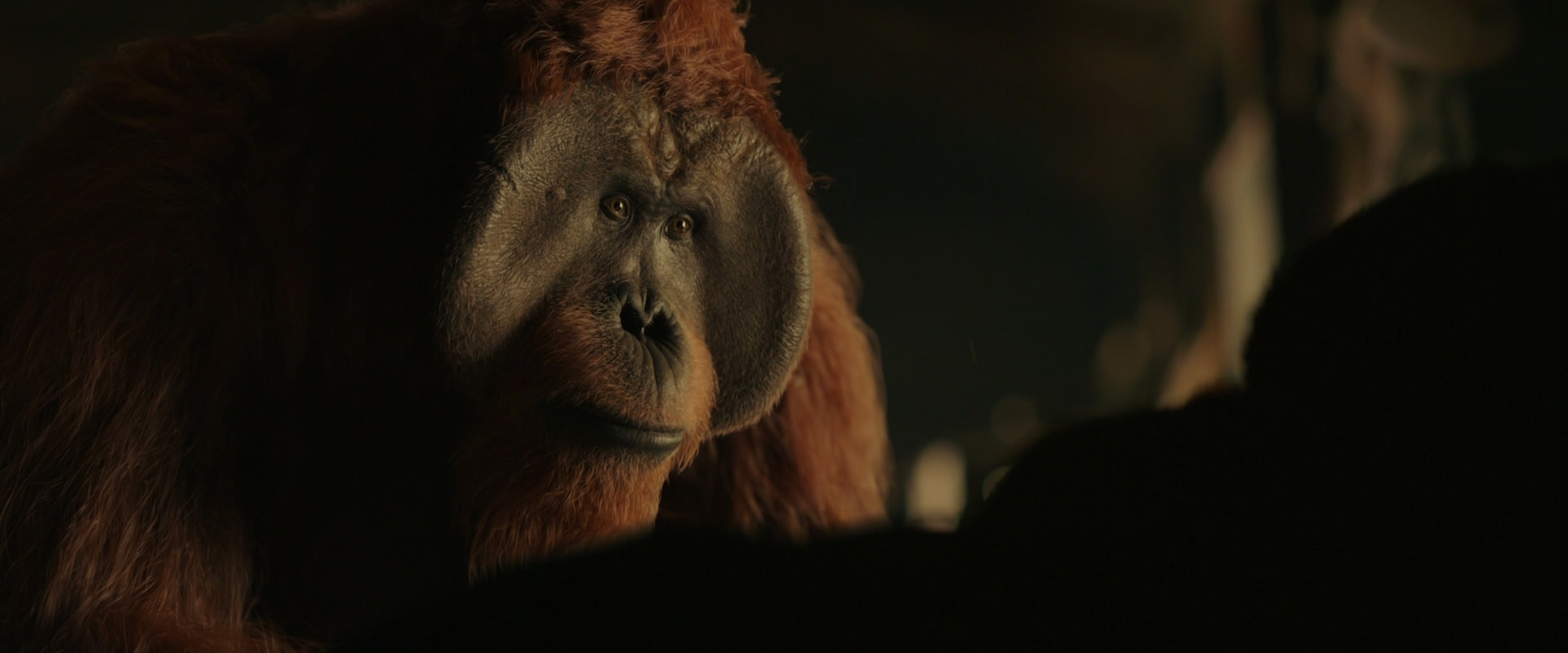 War for the Planet of the Apes (2017) HD screenshot 3662