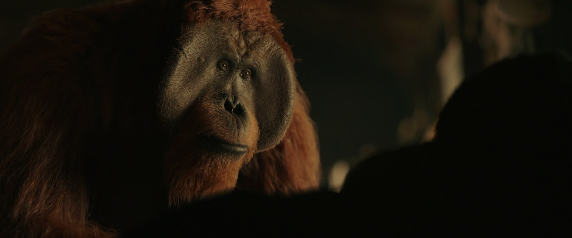 War for the Planet of the Apes (2017) screencap 3663