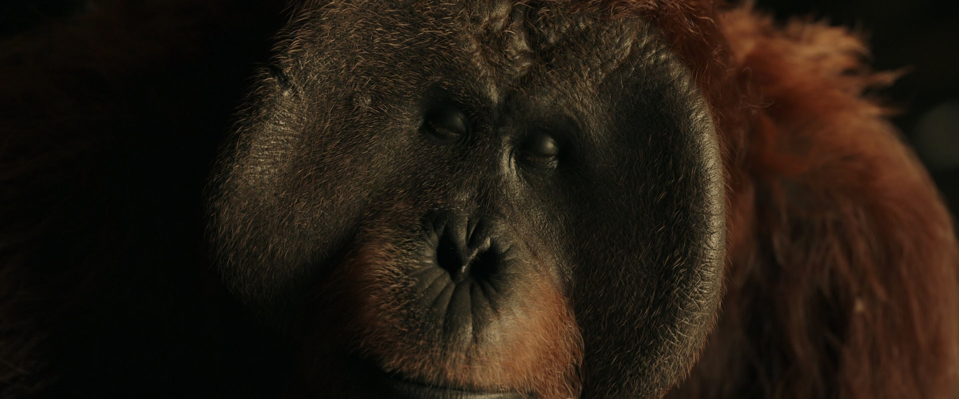 War for the Planet of the Apes (2017) screencap 3681